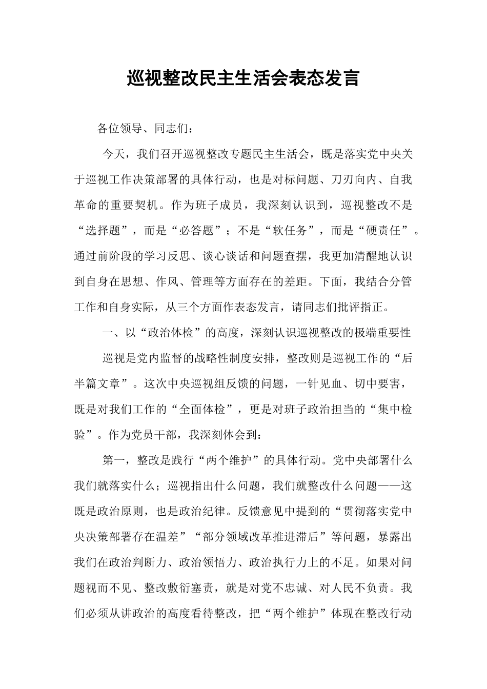 巡视整改民主生活会表态发言.docx_第1页