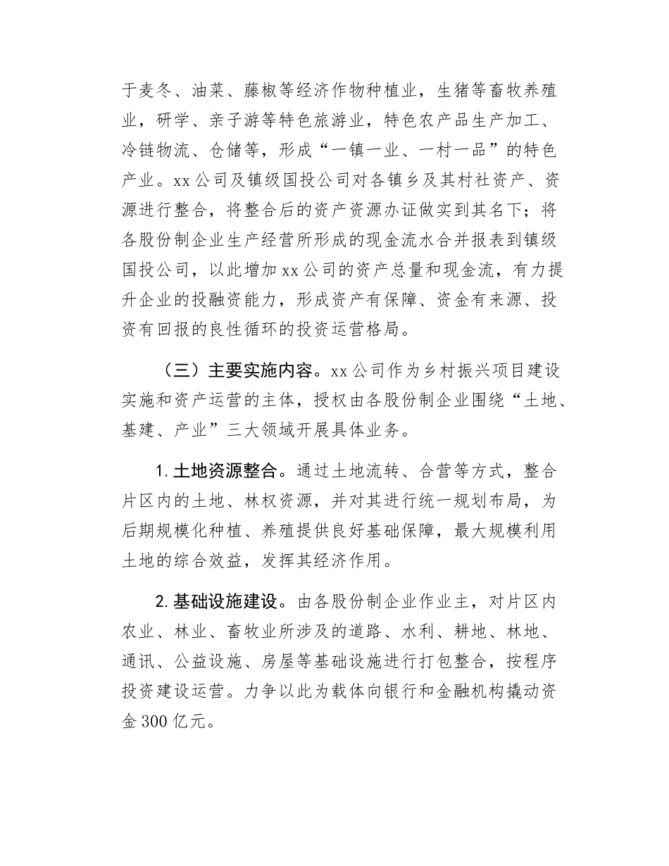 组建镇级国投公司实施方案.docx_第3页