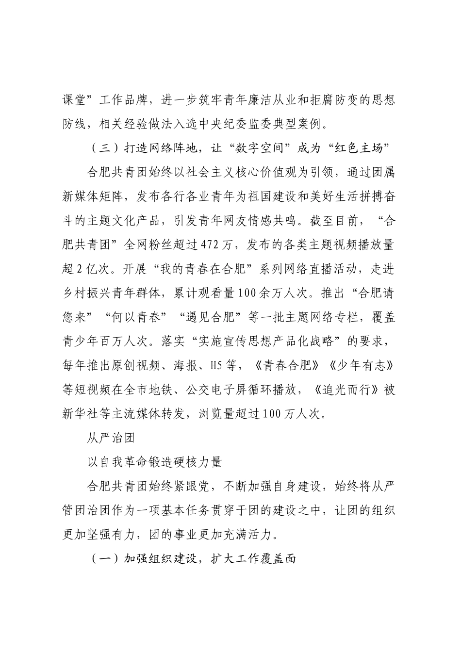 牢记嘱托跟党走挺膺担当建新功——共青团合肥市第十五次代表大会以来工作综述.docx_第3页