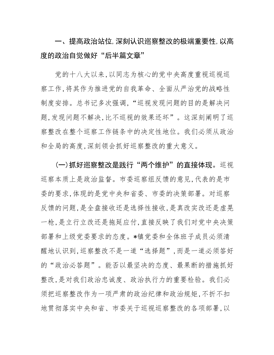 在2025年镇党委巡察整改专题民主SH会上的讲话.docx_第2页