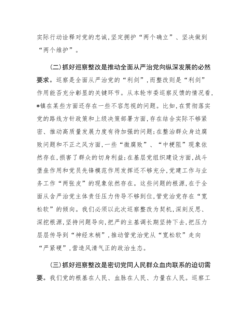 在2025年镇党委巡察整改专题民主SH会上的讲话.docx_第3页