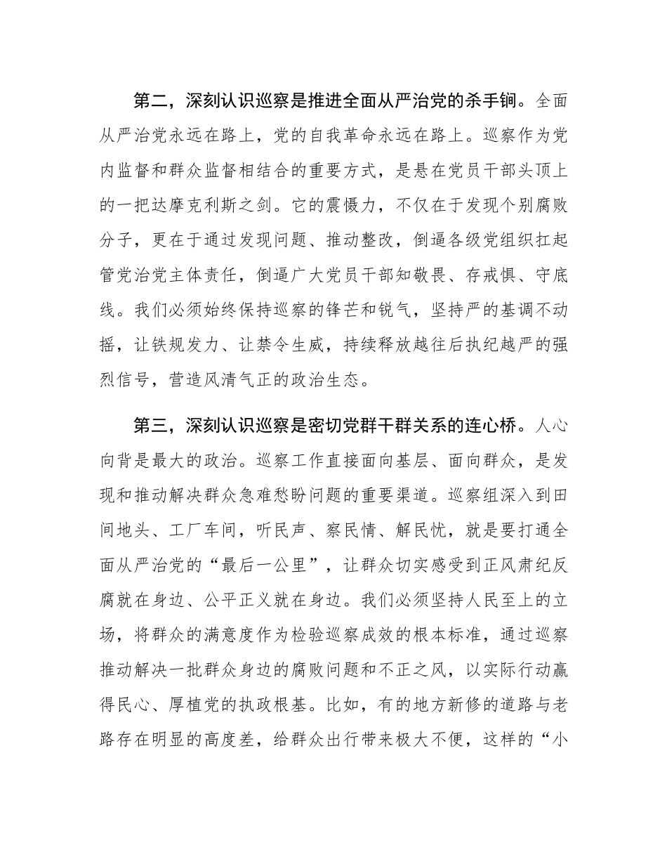 在2025年县委全县巡察工作会议暨十四届县委巡察工作动员部署会上的讲话.docx_第3页