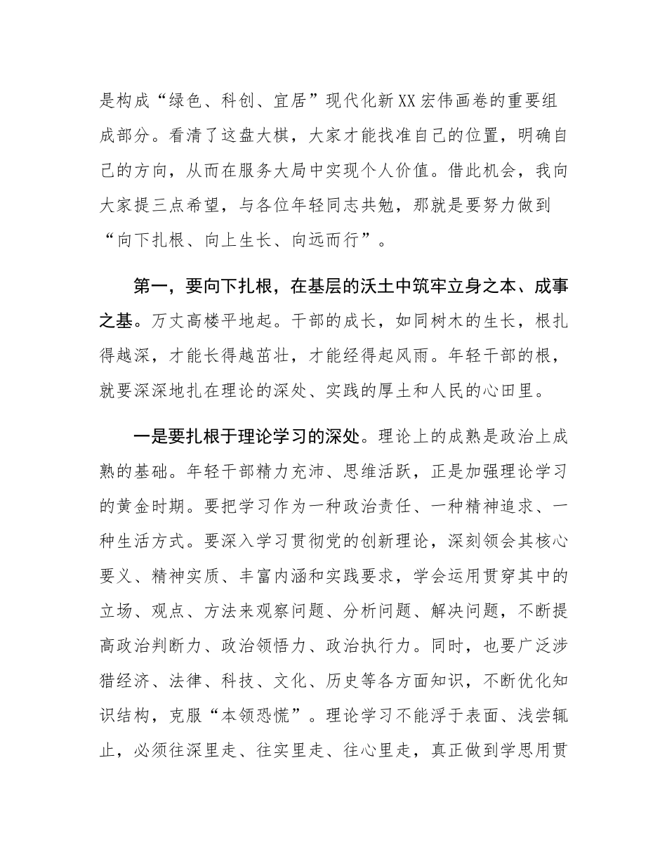 在2025年某镇年轻干部座谈会上的讲话.docx_第3页