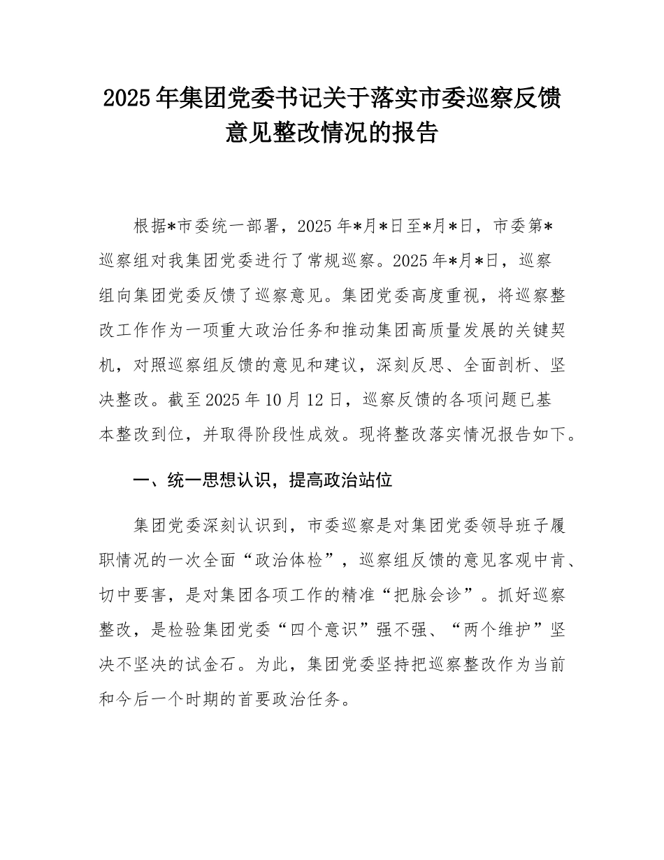 2025年集团党委书记关于落实市委巡察反馈意见整改情况的报告.docx_第1页