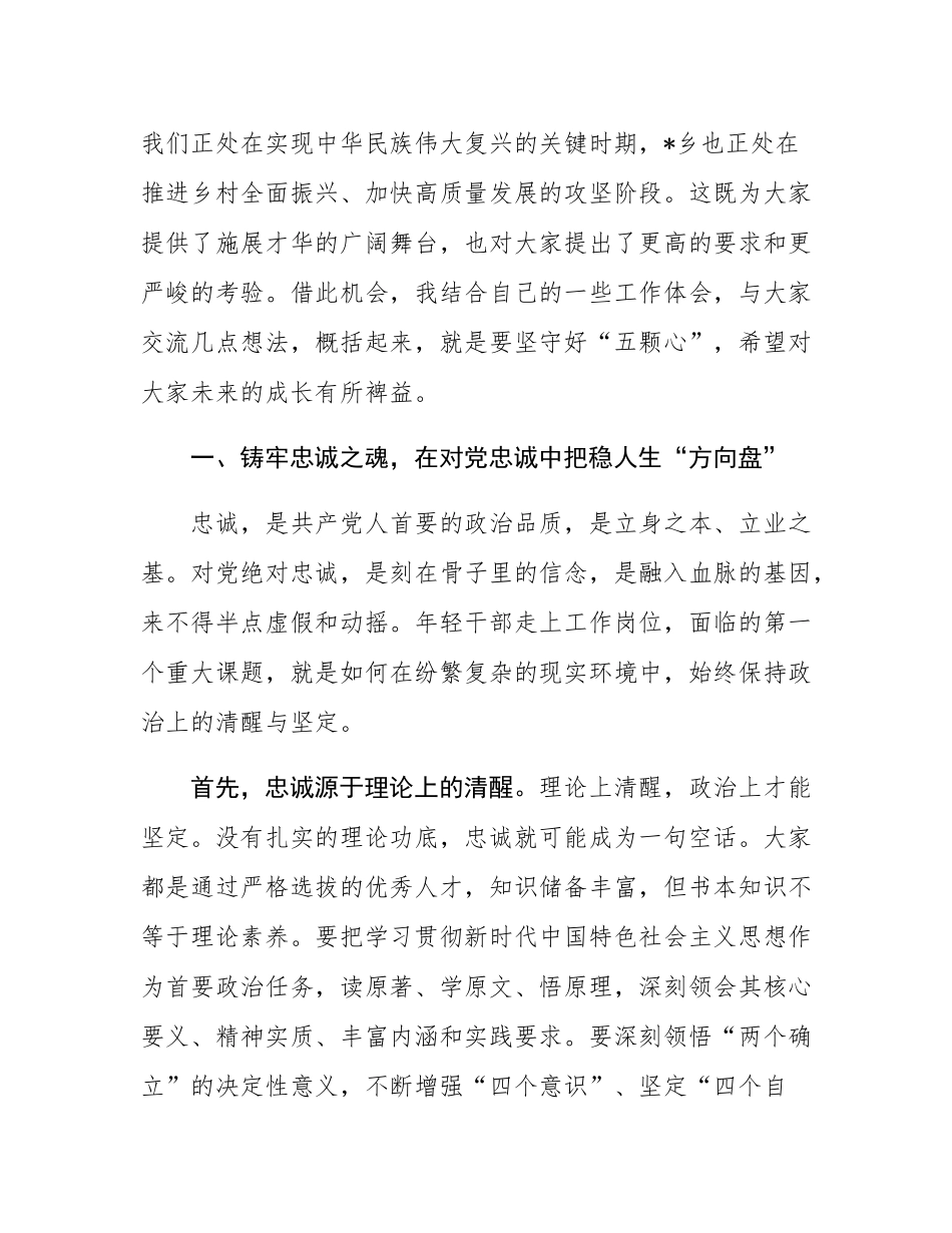 在2025年全乡新入职年轻干部座谈会上的讲话.docx_第2页