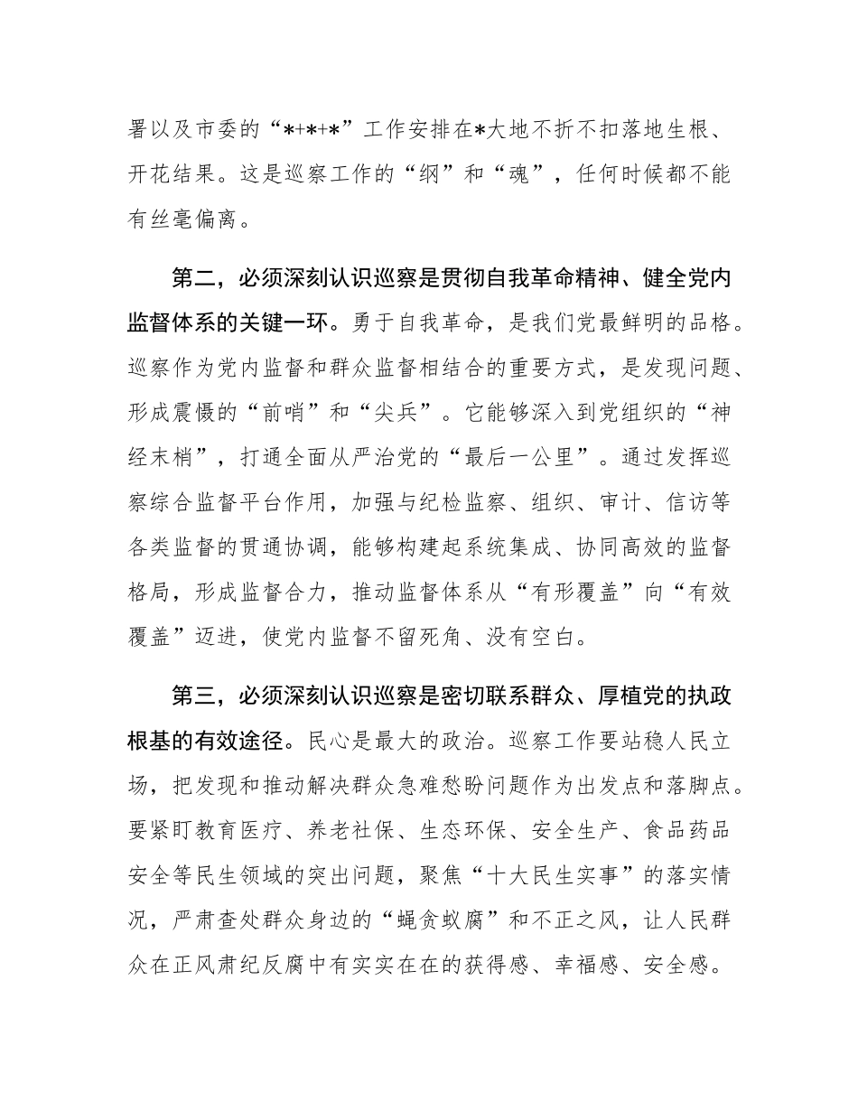在2025年全市巡察工作会议暨八届市委第八轮巡察动员部署会上的讲话.docx_第3页