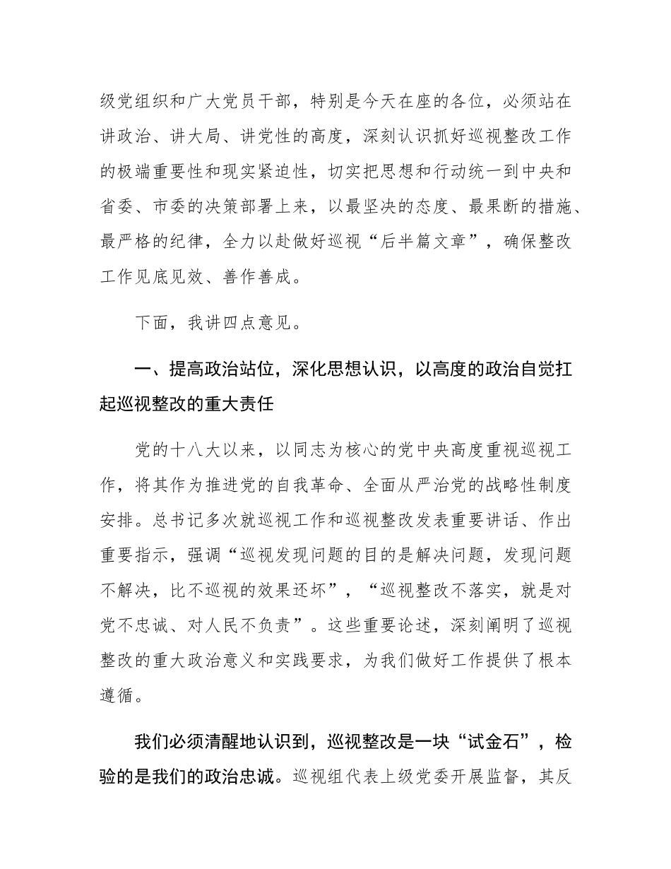 在2025年县委研究部署巡视整改工作专题会议上的讲话.docx_第2页