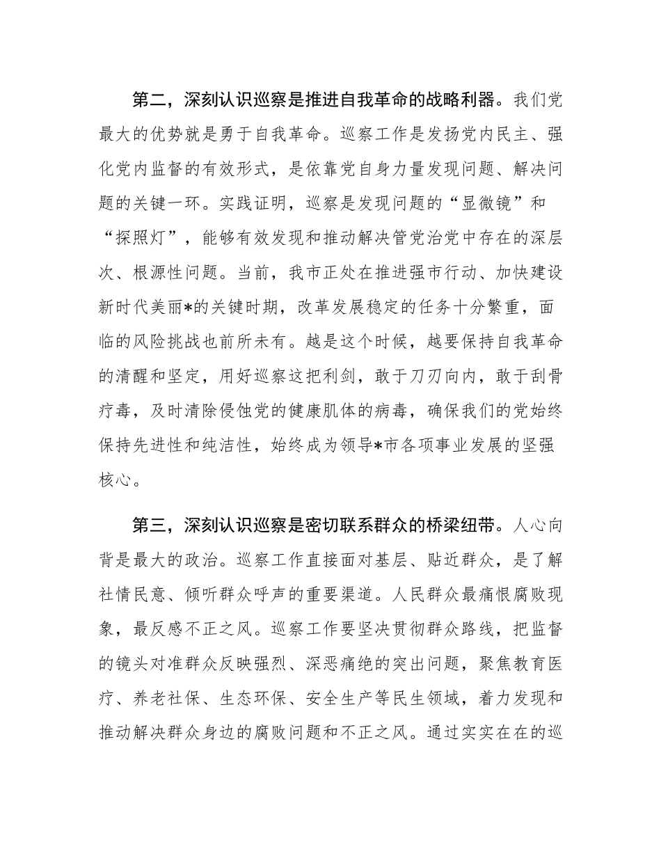在2025年全市巡察工作会议暨六届市委第七轮巡察动员部署会上的讲话.docx_第3页