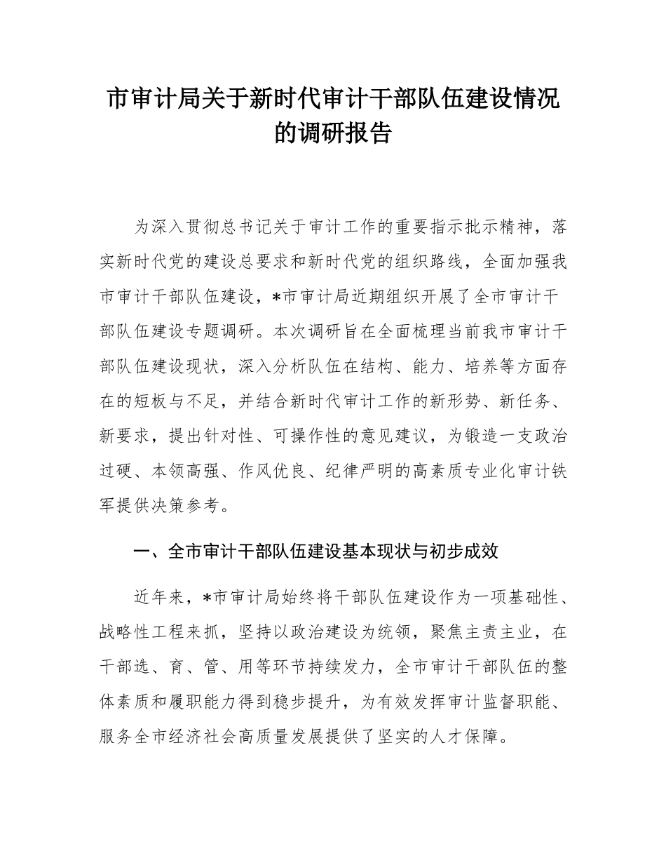 市审计局关于新时代审计干部队伍建设情况的调研报告.docx_第1页