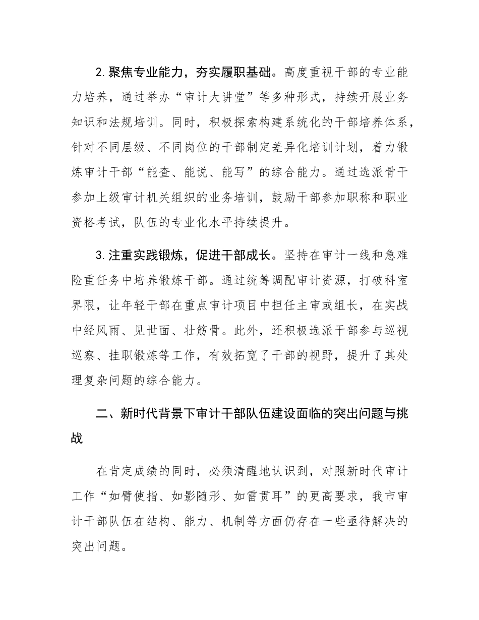 市审计局关于新时代审计干部队伍建设情况的调研报告.docx_第3页