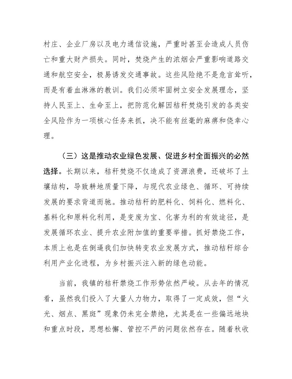 在镇2025年秸秆禁烧工作部署会议上的讲话.docx_第3页
