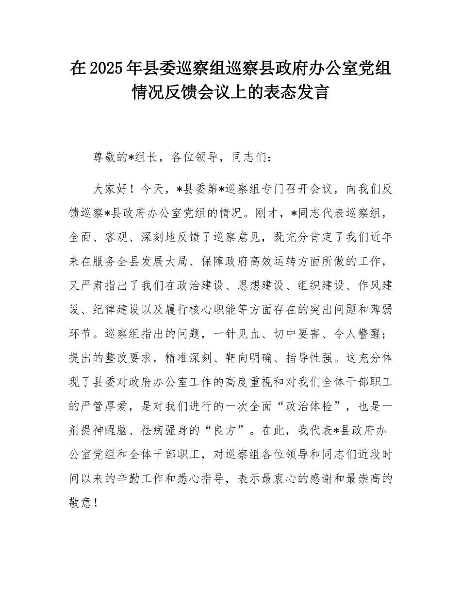 在2025年县委巡察组巡察县政府办公室党组情况反馈会议上的表态发言.docx_第1页