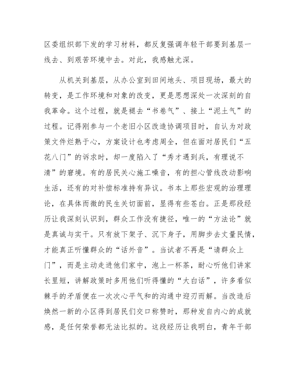 在2025年全区青年干部座谈会上的研讨发言.docx_第2页