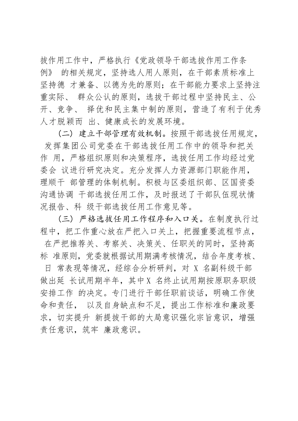 选人用人专项报告.docx_第2页