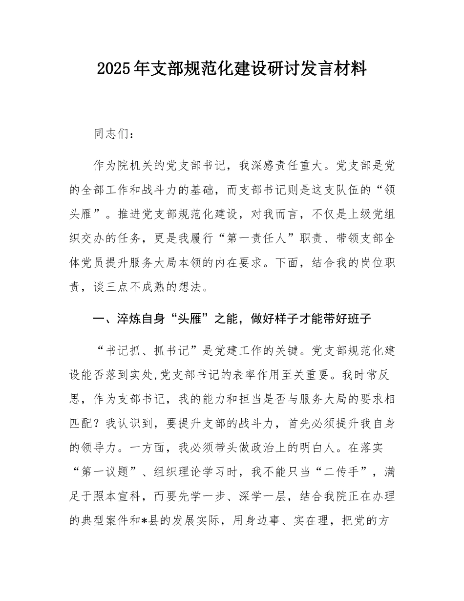 2025年支部规范化建设研讨发言材料.docx_第1页