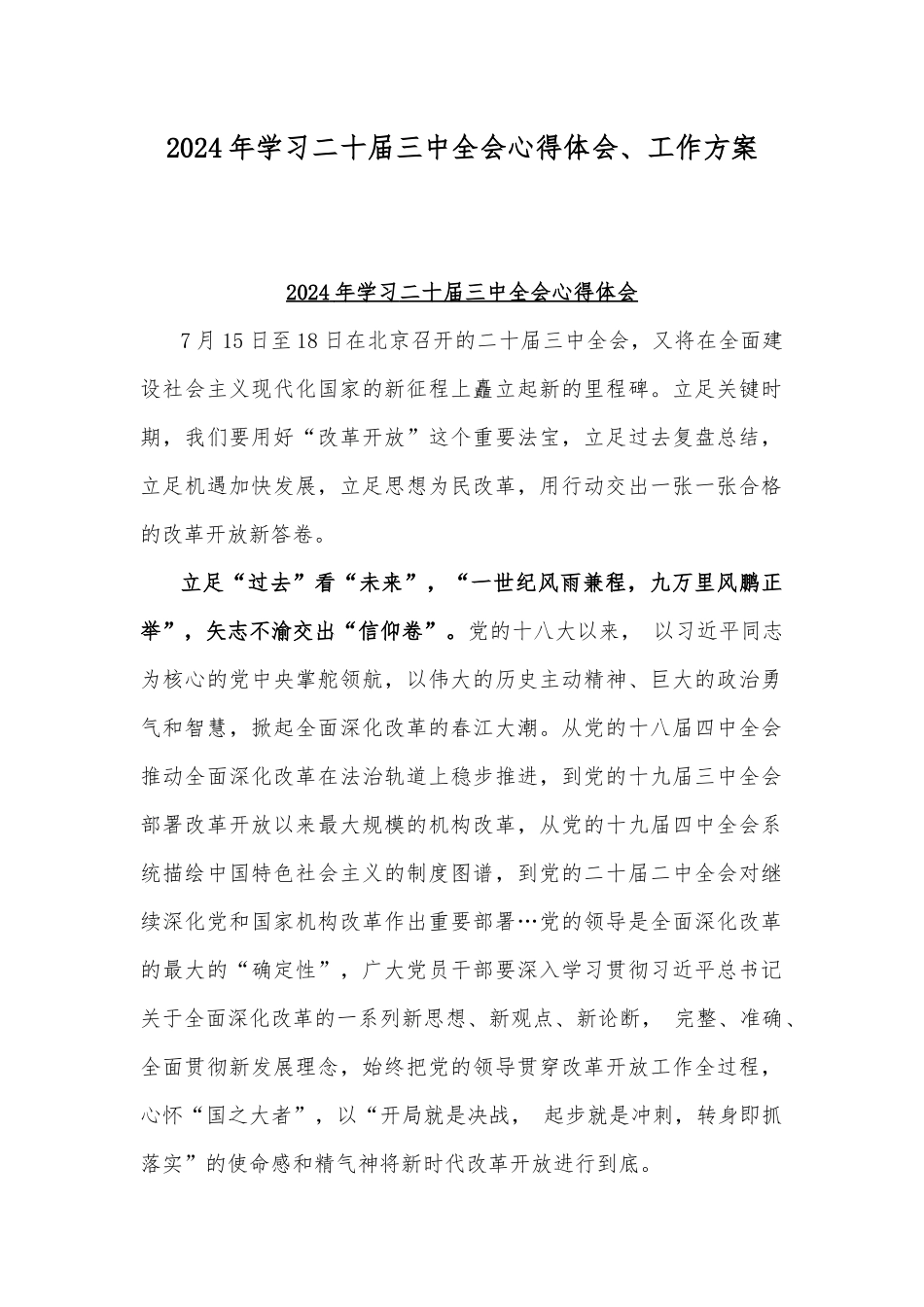 2024年学习二十届三中全会心得体会、工作方案.docx_第1页
