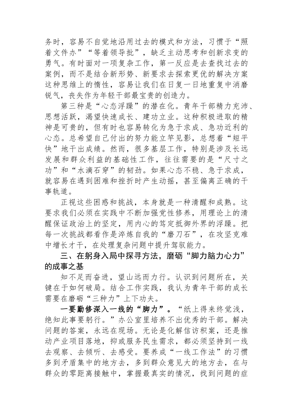 在2025年全区青年干部座谈会上的研讨发言.docx_第3页