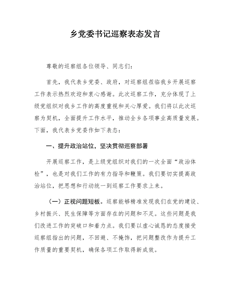 乡党委书记巡察表态发言.docx_第1页