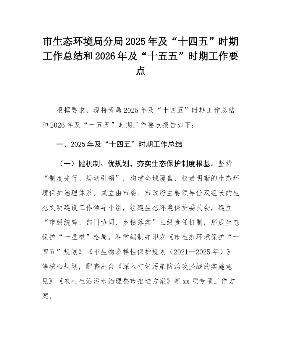 市生态环境局分局2025年及“十四五”时期工作总结和2026年及“十五五”时期工作要点.docx_第1页