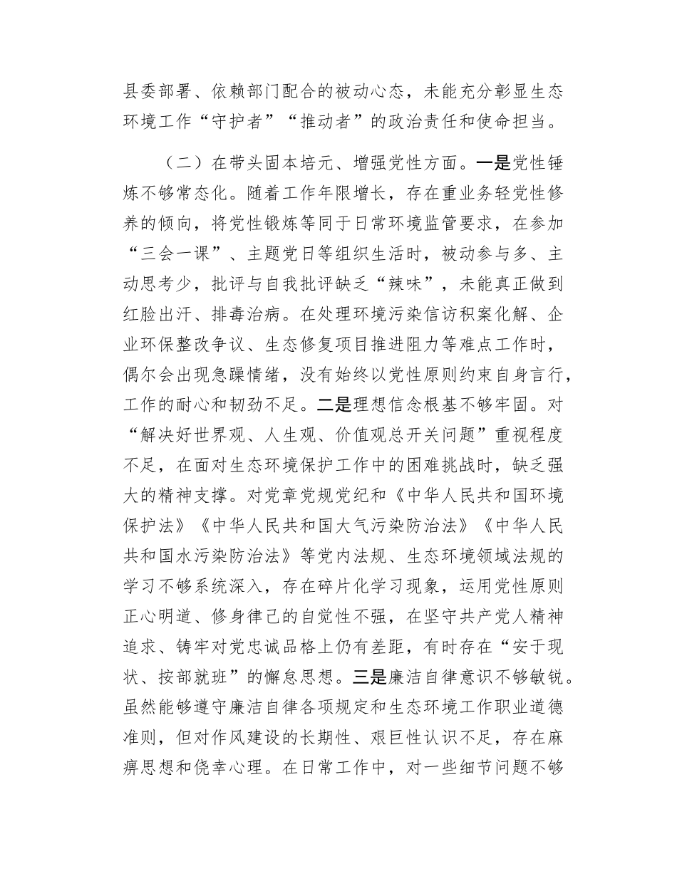 县生态环境局局长2025年度民主SH会对照检查材料.docx_第3页