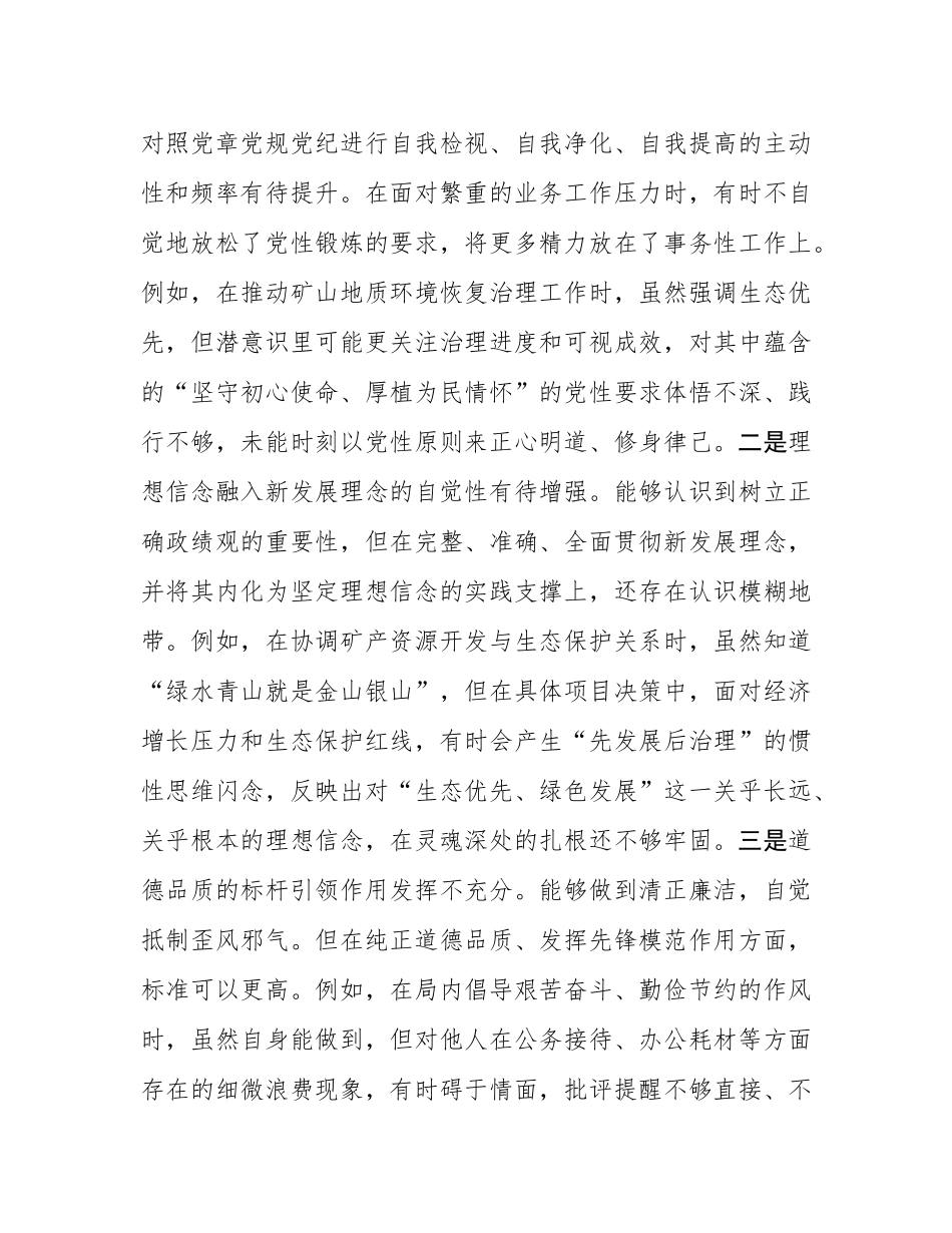 县自然资源局党组书记2025年度民主SH会个人对照检查材料(五个带头).docx_第3页