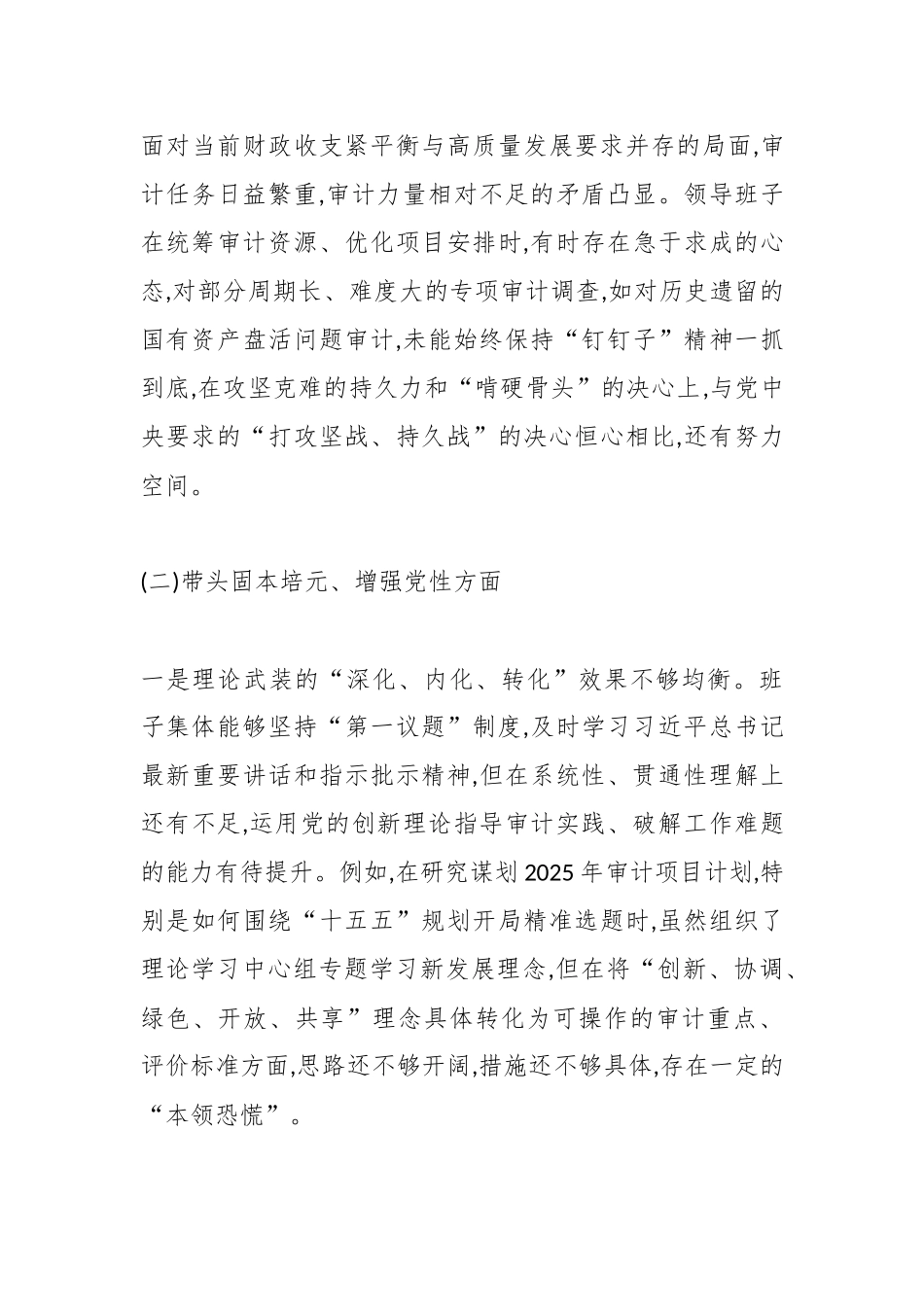 XX区审计局领导班子2025年度民主生活会对照检查材料(五个带头).docx_第3页